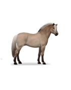 Купити зі знижкою зоотовари для коней