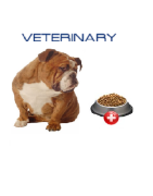 Купити зі знижкою лікувальний сухий корм для собак