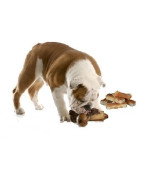 Купити зі знижкою кістки, ласощі та печіво для собак